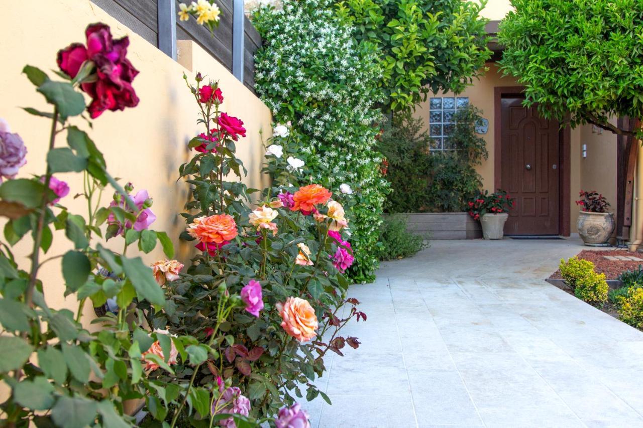 Lida Garden Loft Villa Anavyssos Luaran gambar